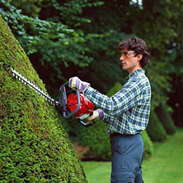 Honda Hedge Trimmers