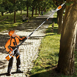 Stihl Pole Saws